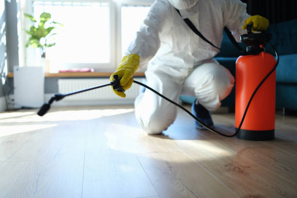 Reliable Odor Removal contractor in Jefferson, OR by Trauma Clean Pros